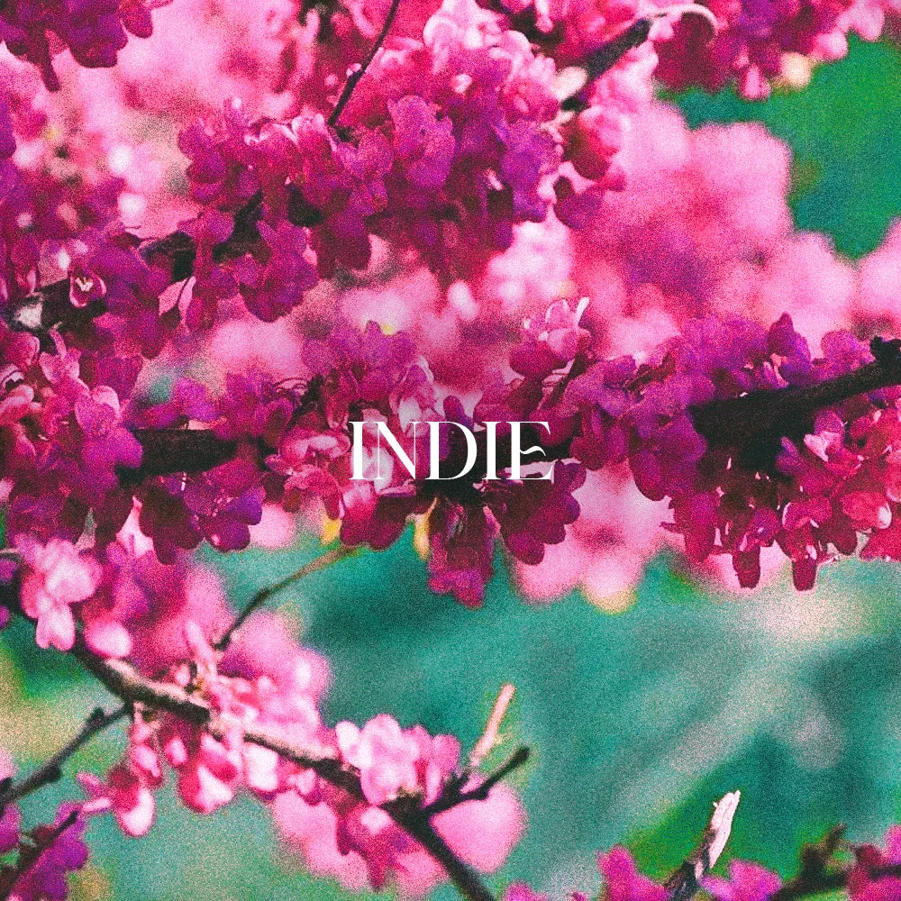 IndieSpotify_292d96d2-e240-4320-99a6-ec8b1bcdec83 - Zach Daydreams Portfolio & Shop